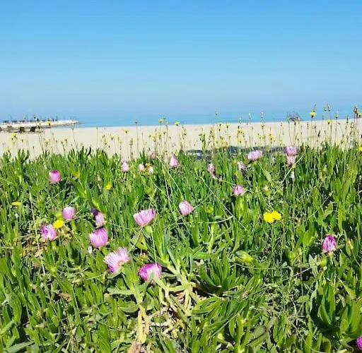 Apartman Glen's At Qerret *